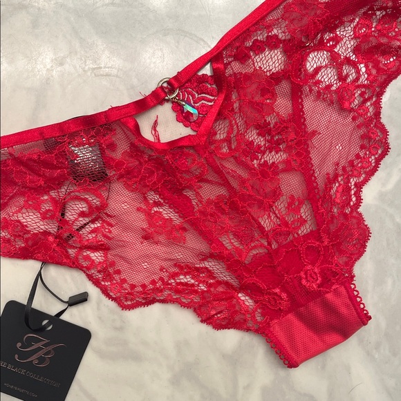 Honey Birdette Whitney brief Red Lace Panties small NWT - Picture 6 of 7